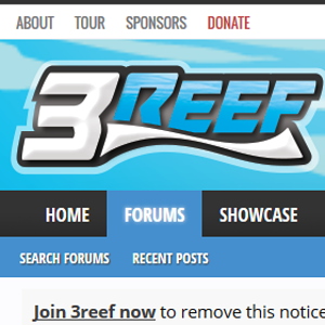 3 Reef